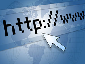 Services offered by custom web development company