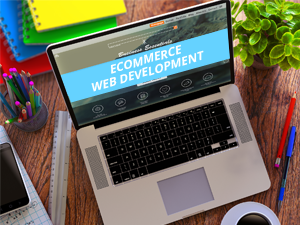 6 points to consider while picking an eCommerce solutions provider