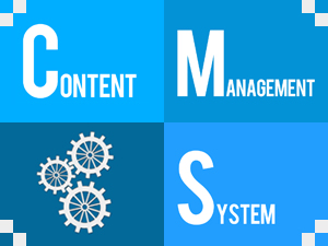 Everything a business could possibly know about different CMS’s