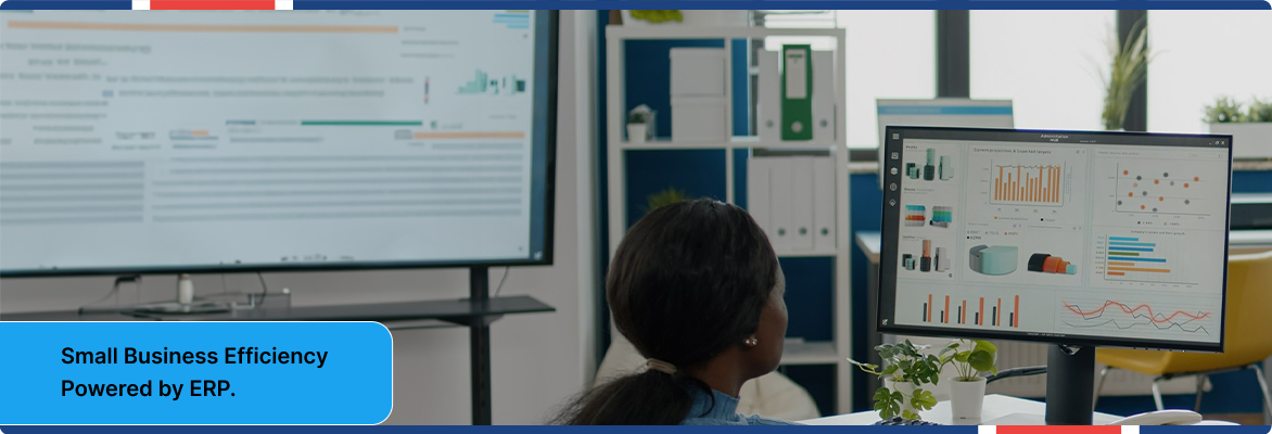 ERP for small businesses helping teams manage sales, finance, and operations efficiently |Flexsin