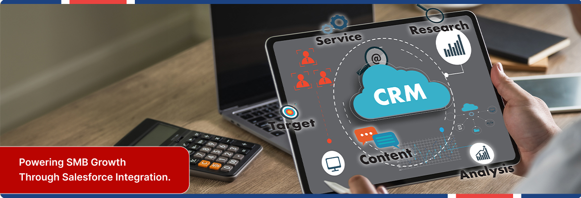 Salesforce integrations for SMBs and CRM analytics.
