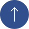 Scroll To Top