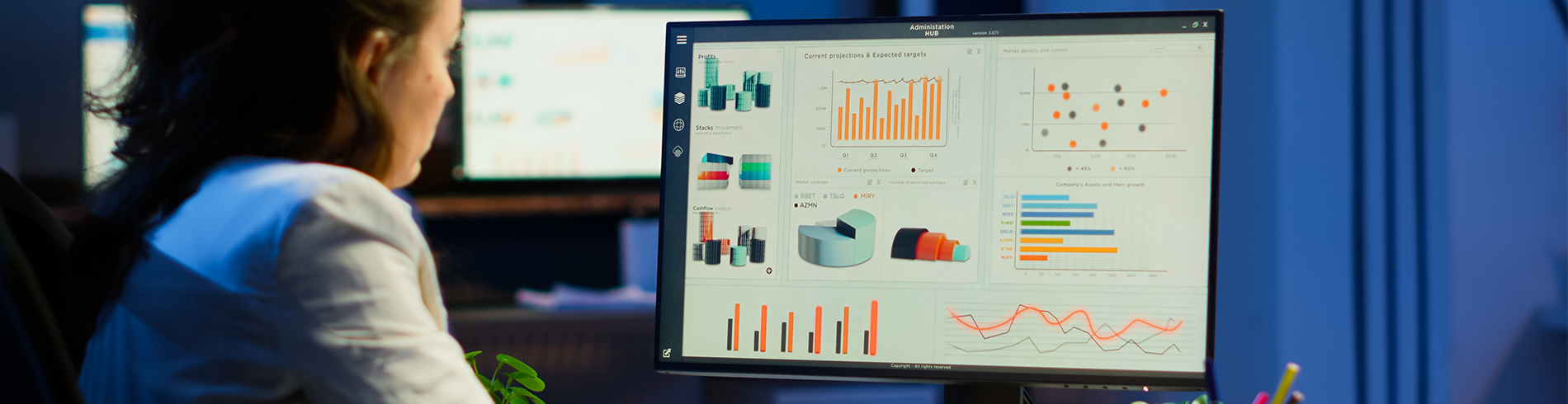 Software development for CRM and data analytics.