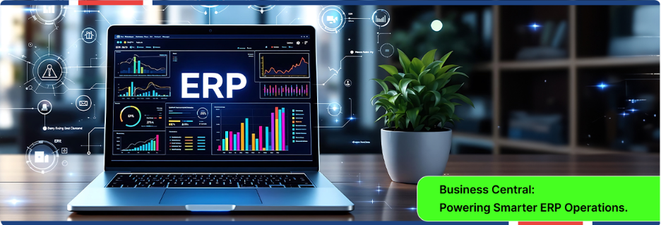 Business Central ERP platform for business process management.