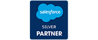 Saleforce Partner