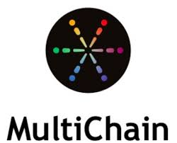multichain Partner