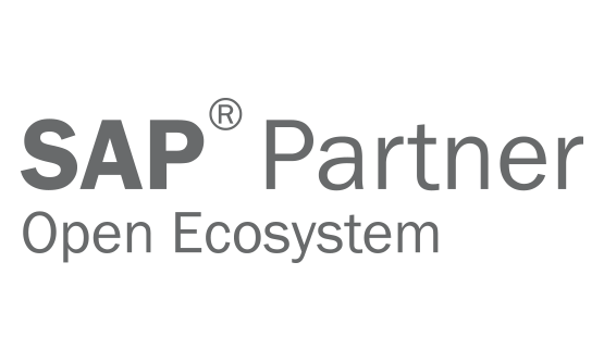 SAP partner